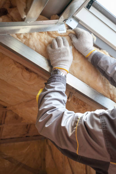 Best Insulation Installation Services in Germantown, OH