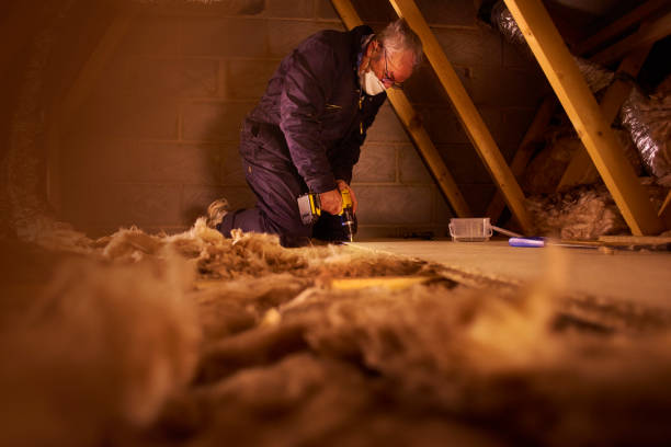 Best Insulation Maintenance and Repair in Germantown, OH